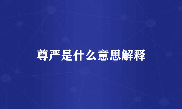 尊严是什么意思解释