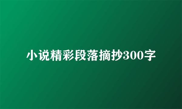 小说精彩段落摘抄300字