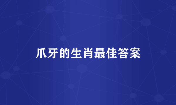 爪牙的生肖最佳答案
