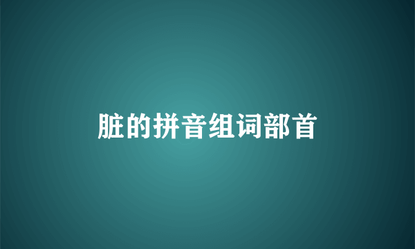 脏的拼音组词部首