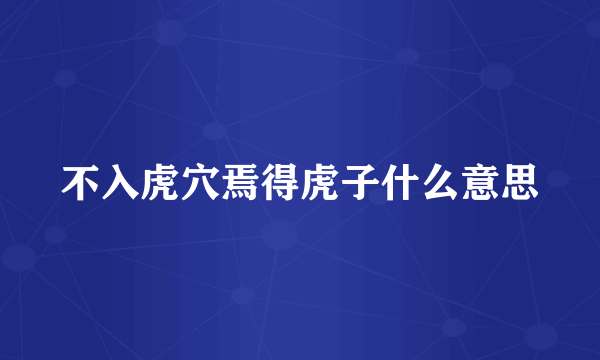不入虎穴焉得虎子什么意思
