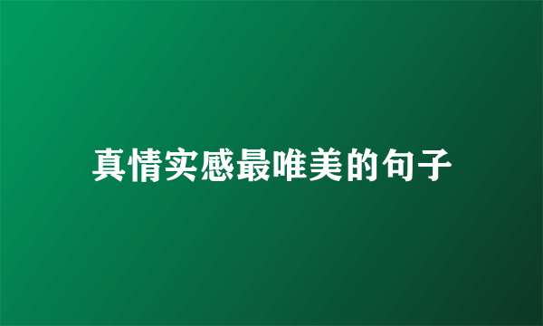 真情实感最唯美的句子