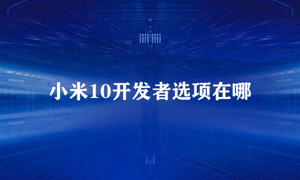 小米10开发者选项在哪