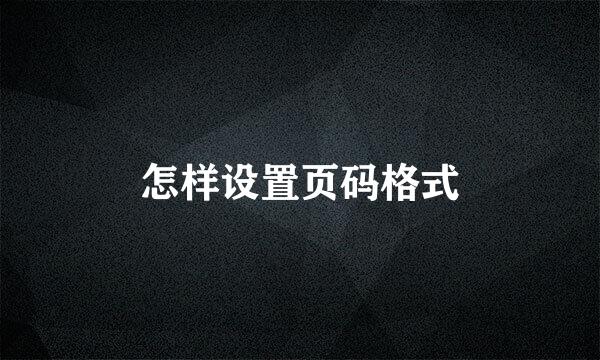 怎样设置页码格式