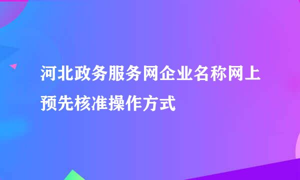 河北政务服务网企业名称网上预先核准操作方式