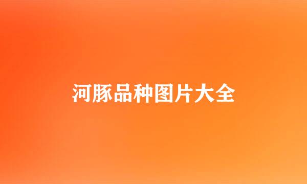 河豚品种图片大全