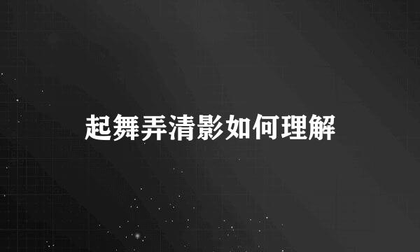 起舞弄清影如何理解