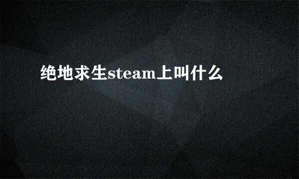 绝地求生steam上叫什么