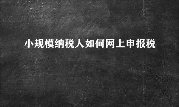 小规模纳税人如何网上申报税