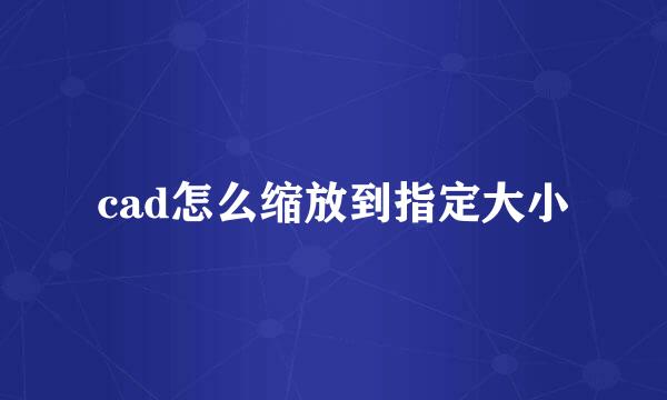cad怎么缩放到指定大小