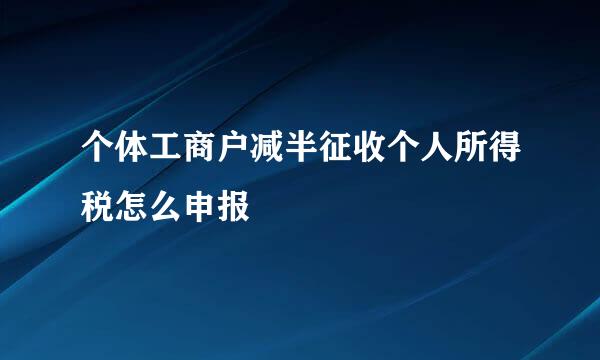 个体工商户减半征收个人所得税怎么申报
