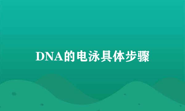 DNA的电泳具体步骤