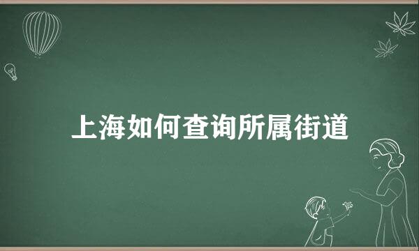 上海如何查询所属街道