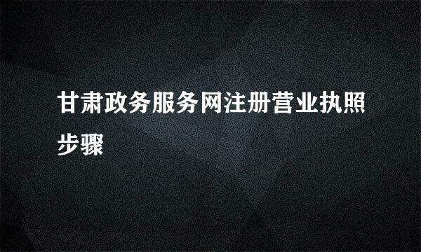 甘肃政务服务网注册营业执照步骤