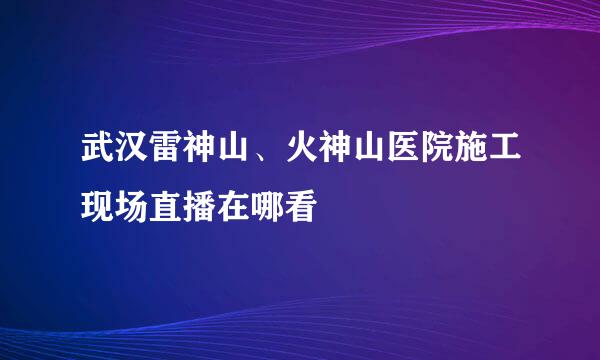 武汉雷神山、火神山医院施工现场直播在哪看