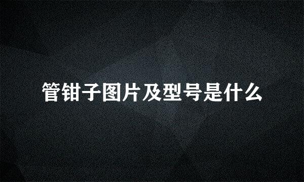管钳子图片及型号是什么