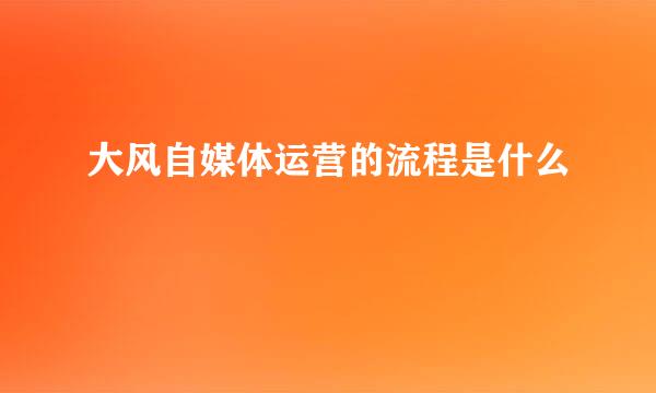 大风自媒体运营的流程是什么