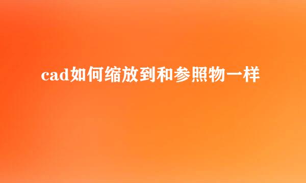 cad如何缩放到和参照物一样
