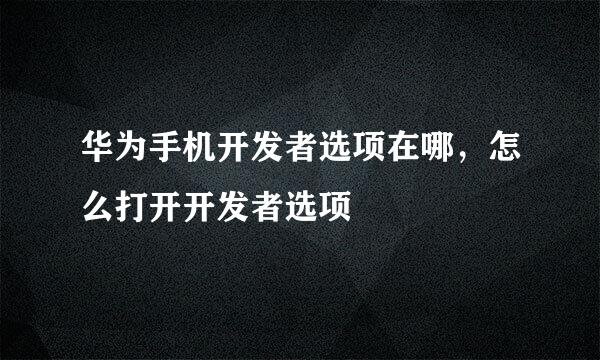 华为手机开发者选项在哪，怎么打开开发者选项