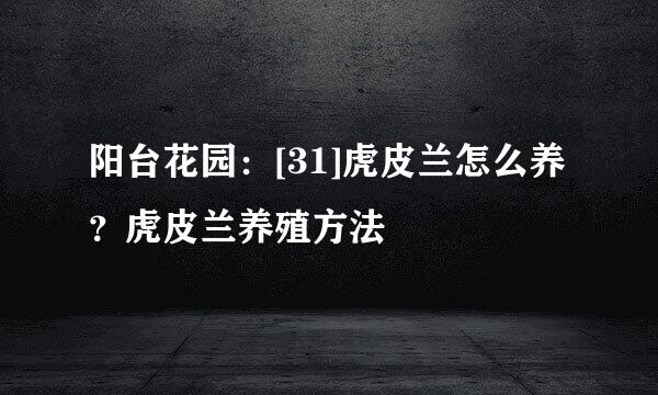 阳台花园：[31]虎皮兰怎么养？虎皮兰养殖方法