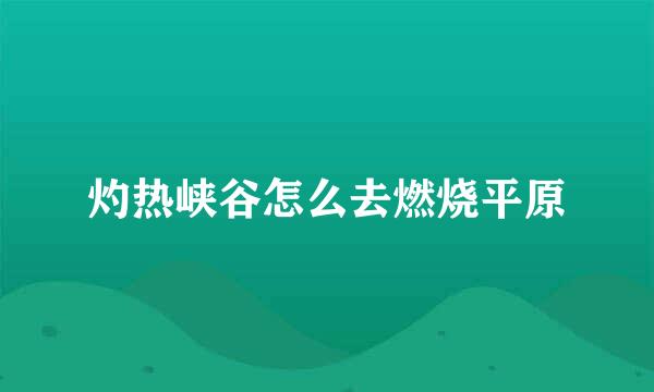 灼热峡谷怎么去燃烧平原