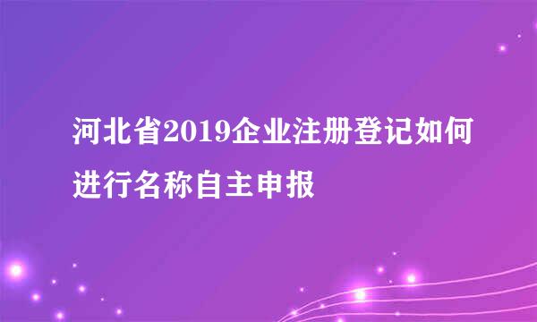 河北省2019企业注册登记如何进行名称自主申报