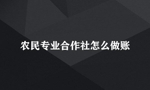 农民专业合作社怎么做账