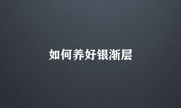 如何养好银渐层