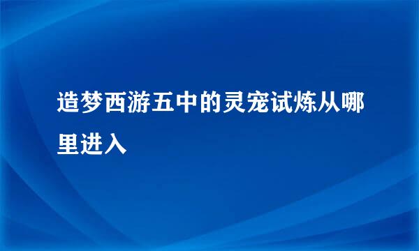 造梦西游五中的灵宠试炼从哪里进入
