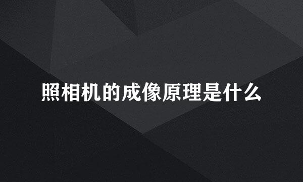 照相机的成像原理是什么