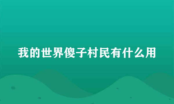 我的世界傻子村民有什么用