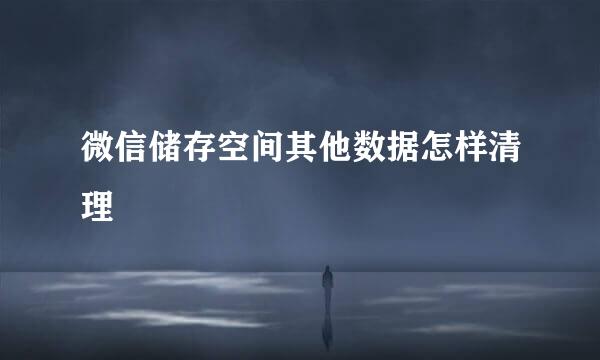 微信储存空间其他数据怎样清理