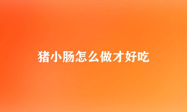 猪小肠怎么做才好吃