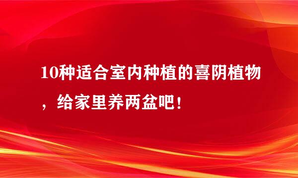 10种适合室内种植的喜阴植物，给家里养两盆吧！