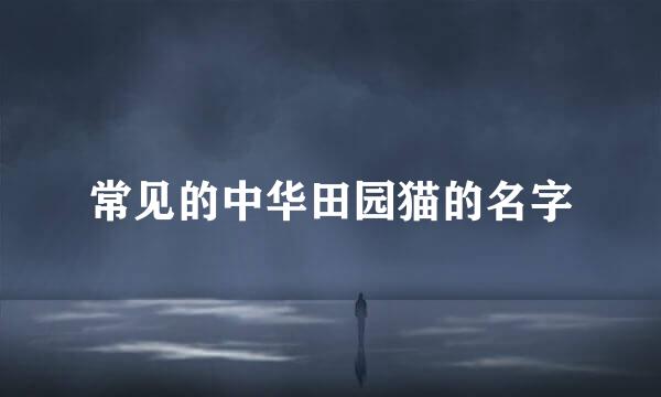 常见的中华田园猫的名字
