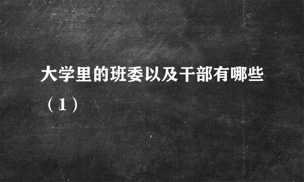 大学里的班委以及干部有哪些（1）
