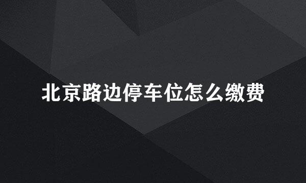 北京路边停车位怎么缴费