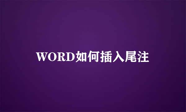 WORD如何插入尾注
