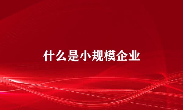 什么是小规模企业