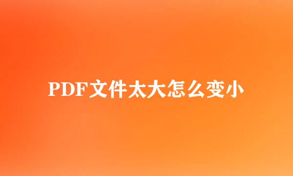 PDF文件太大怎么变小