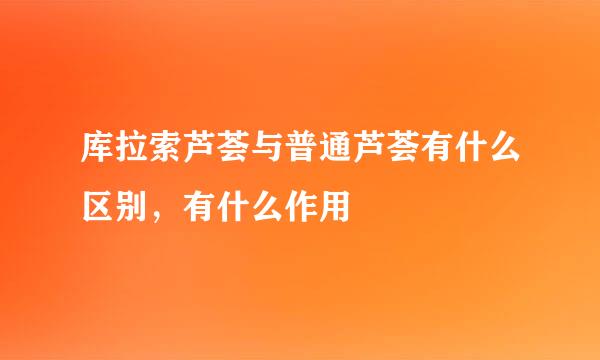 库拉索芦荟与普通芦荟有什么区别，有什么作用
