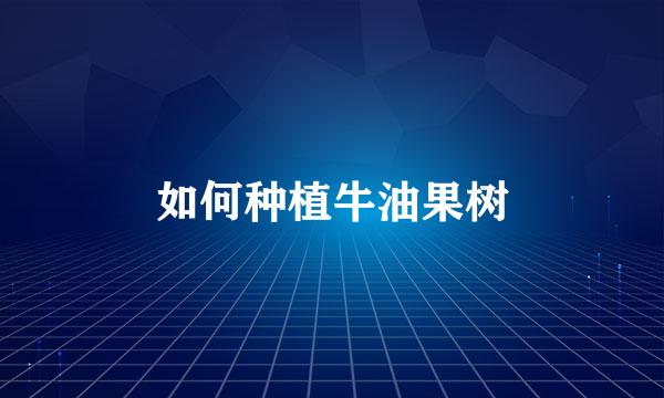 如何种植牛油果树