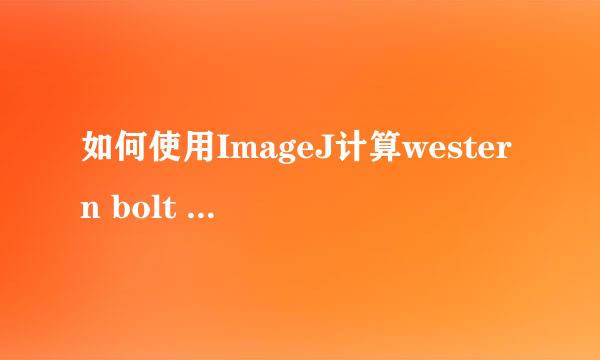 如何使用ImageJ计算western bolt 条带灰度值