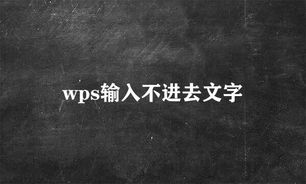 wps输入不进去文字
