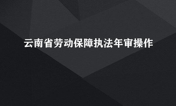 云南省劳动保障执法年审操作