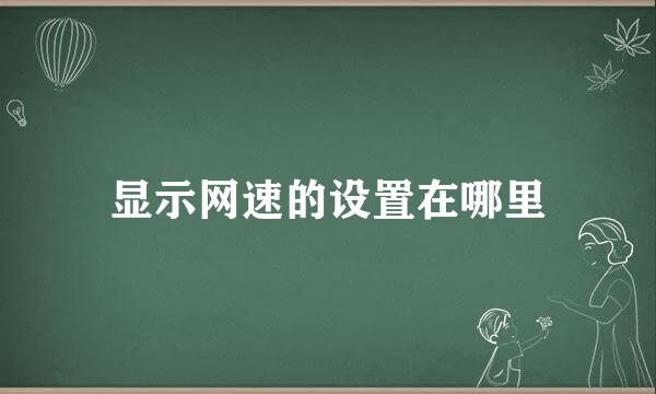 显示网速的设置在哪里