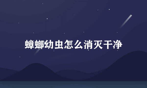 蟑螂幼虫怎么消灭干净