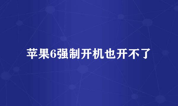 苹果6强制开机也开不了
