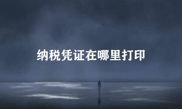 纳税凭证在哪里打印