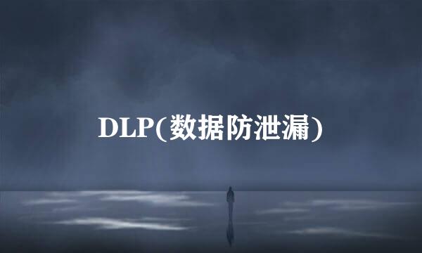 DLP(数据防泄漏)